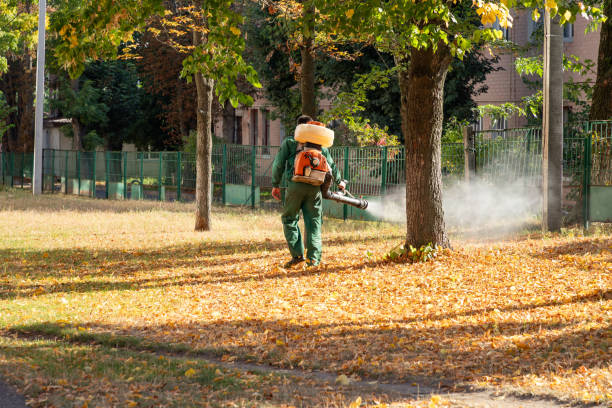 Wildlife Control Services in Wayne Heights, PA